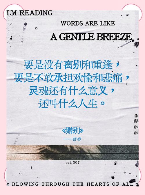 闪耀时刻：记录你生命中最精彩的瞬间