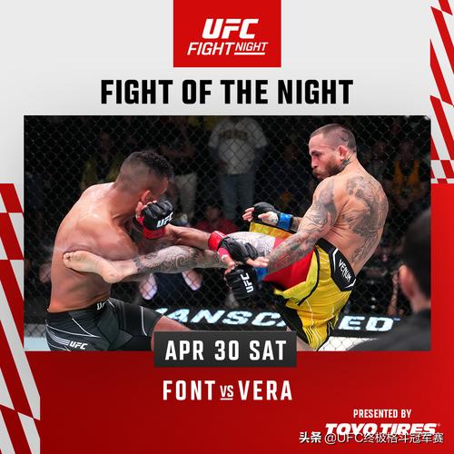UFC终极格斗冠军赛：赛事规则、选手介绍及精彩瞬间回顾