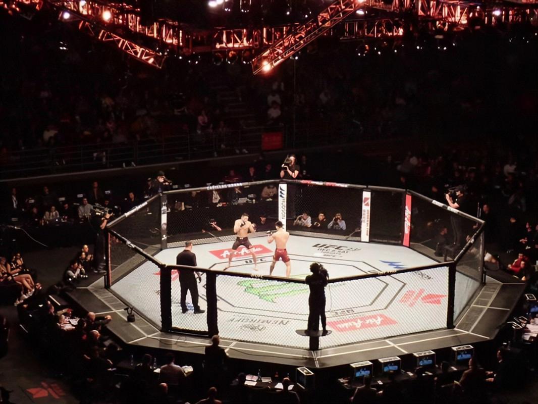 UFC终极格斗冠军赛：赛事规则、选手介绍及精彩瞬间回顾