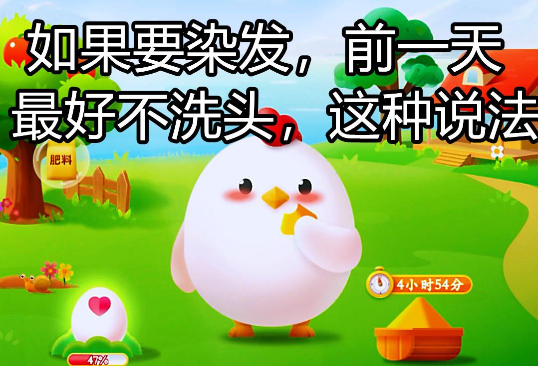 染发前洗头？蚂蚁庄园告诉你正确答案！