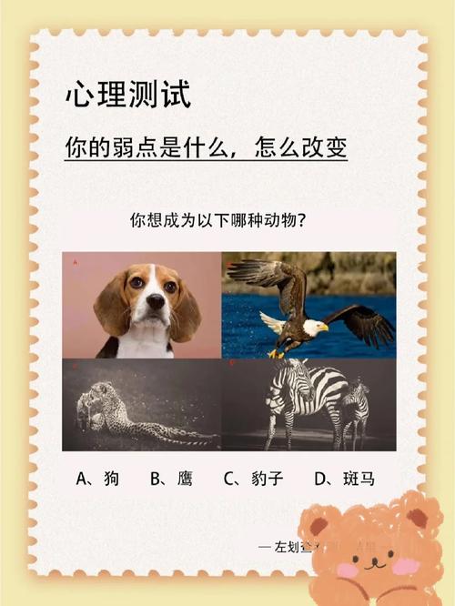 你的意义测试：简单测试，解读你的人生意义