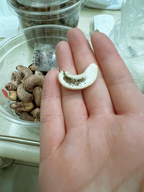 你知道吗？买到的腰果为什么没有外壳？