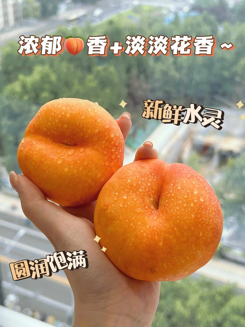 大乐斗蟠桃使用技巧：提升战力的小秘密