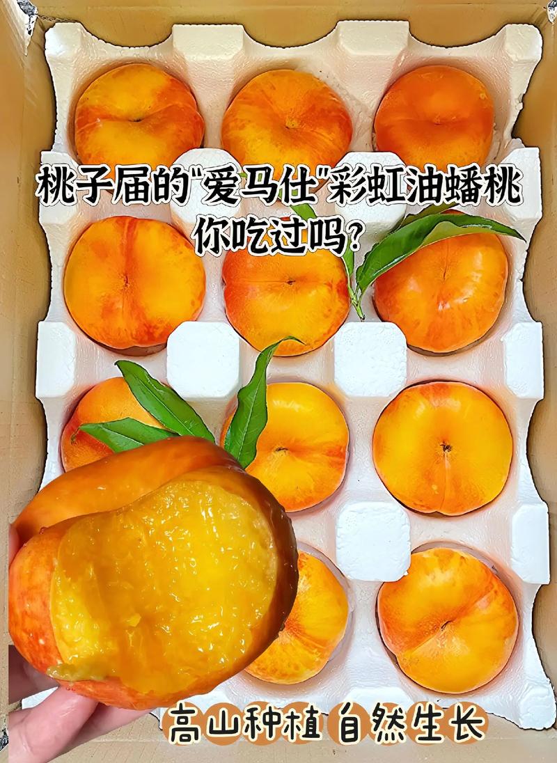 大乐斗蟠桃使用技巧：提升战力的小秘密