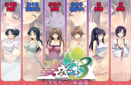 妻3蜜中蜜动漫观看指南：简单方便快速观看