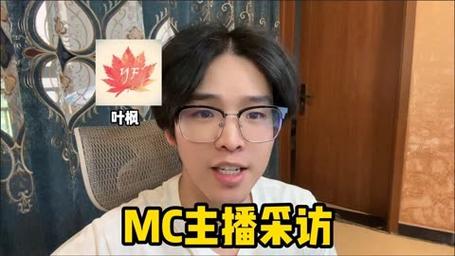 我的世界叶枫视频合集：带你轻松玩转游戏