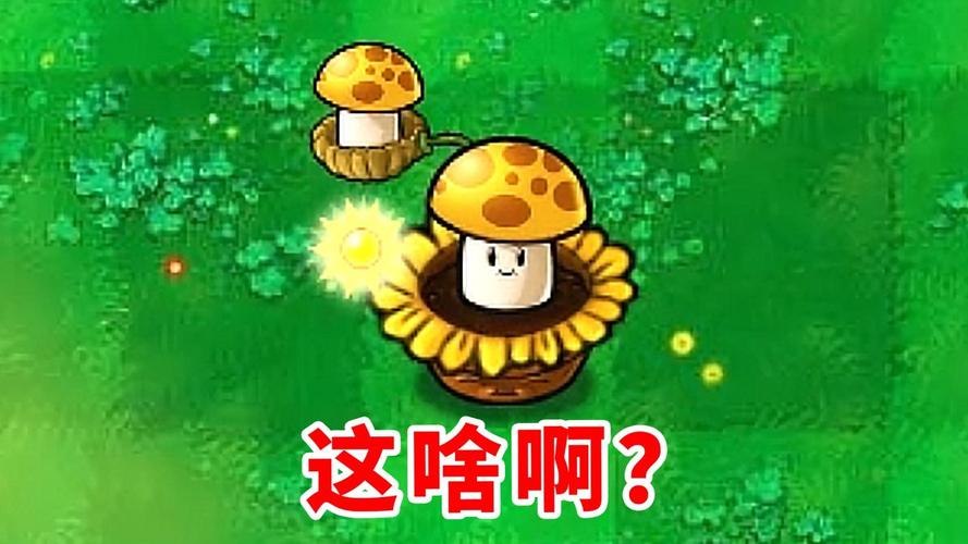 阳光菇养成攻略，植物大战僵尸阳光菇使用技巧