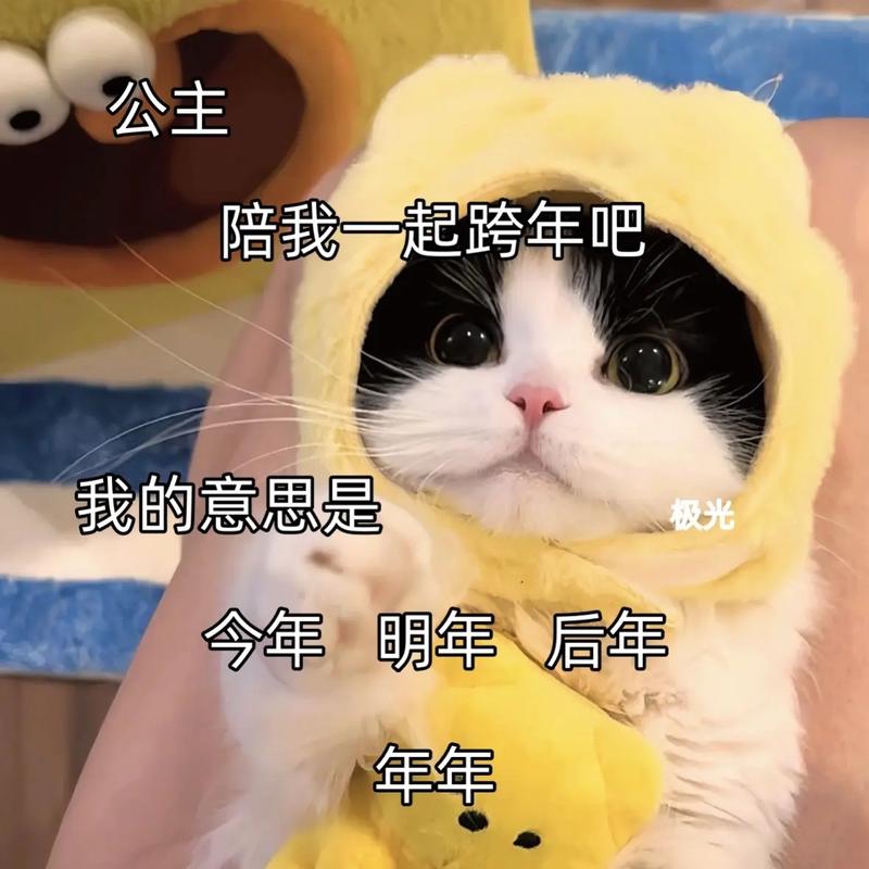 跨年表情包怎么用？教你玩转朋友圈跨年祝福！