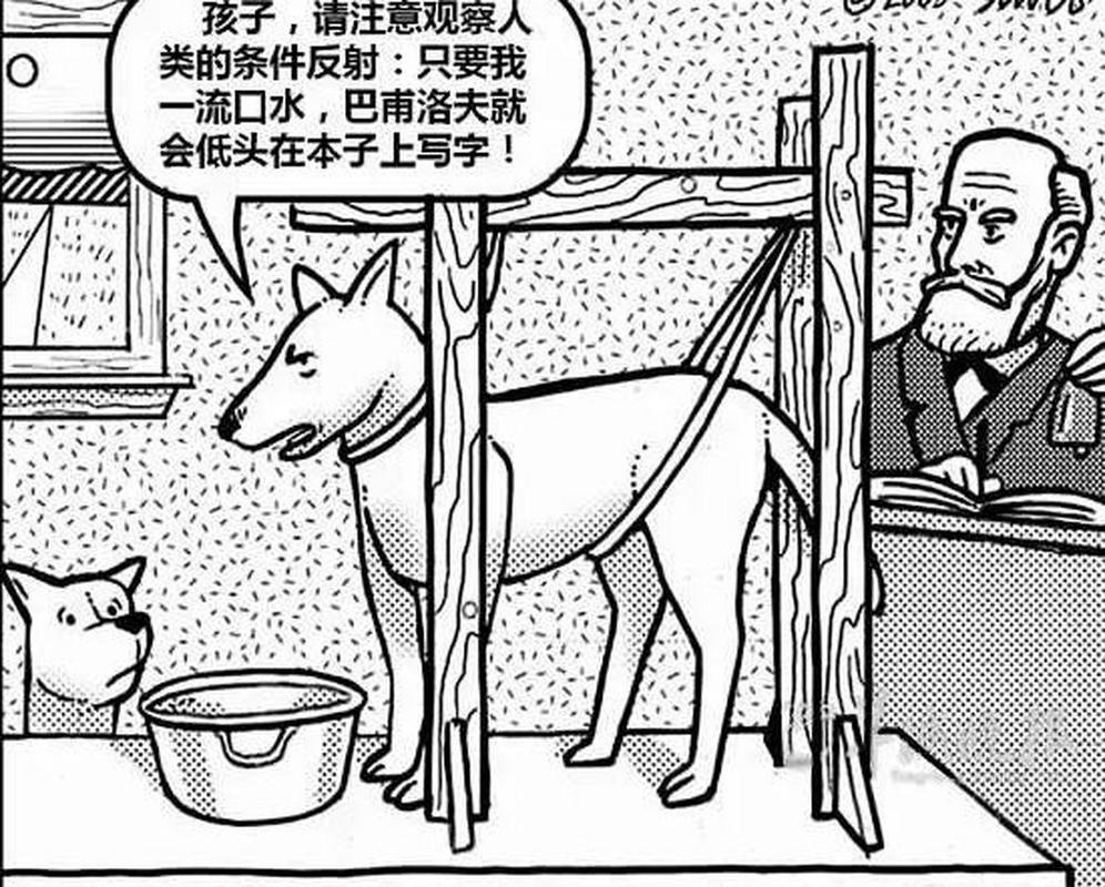 巴甫洛夫很忙是什么梗？一篇文章带你了解来龙去脉！
