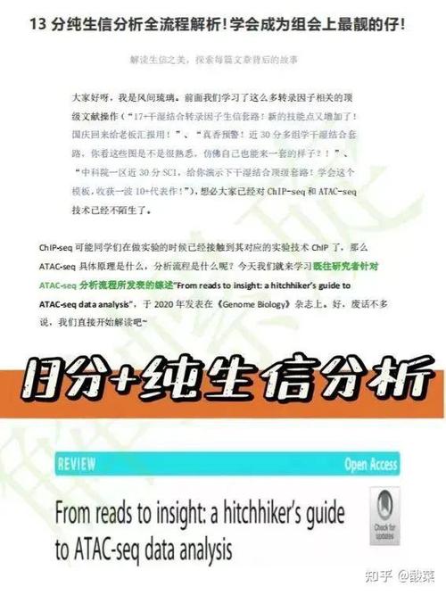 我顶网好用吗？新手入门教程和使用技巧！