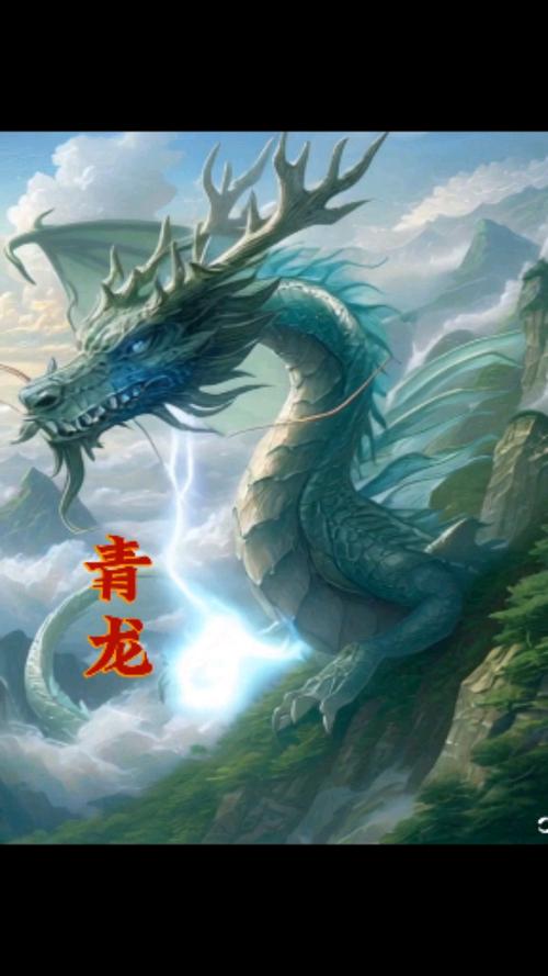 想了解青龙会？这篇超详细的介绍别错过！