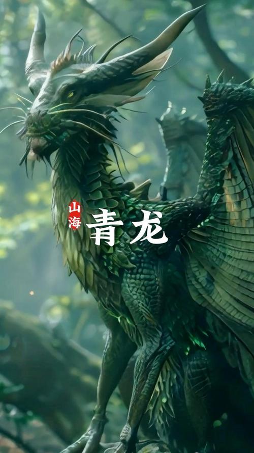 想了解青龙会？这篇超详细的介绍别错过！