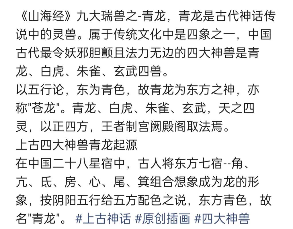 想了解青龙会？这篇超详细的介绍别错过！