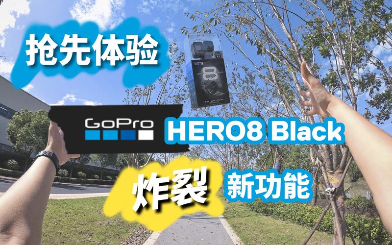 fpe2000下载最新版，新功能抢先体验！