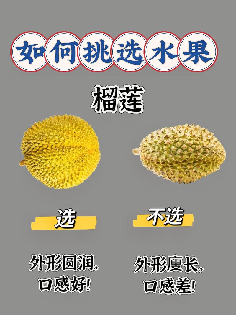 果园丰收啦！教你怎么挑选新鲜好吃的水果！