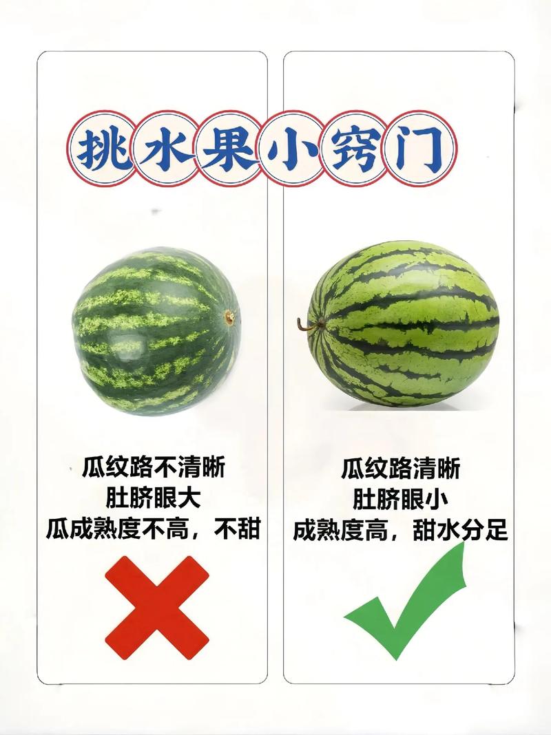 果园丰收啦！教你怎么挑选新鲜好吃的水果！