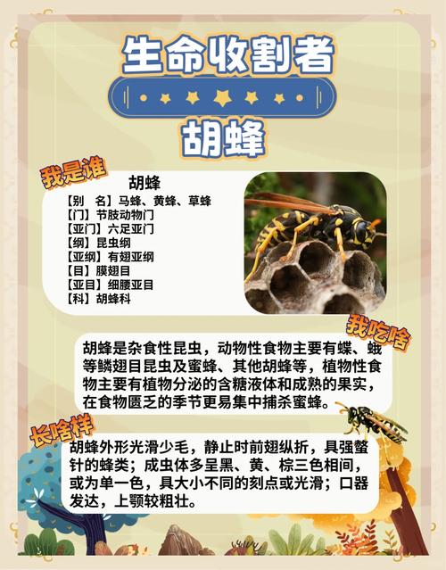 生命收割者是真的吗？看完这篇文章你就懂了！