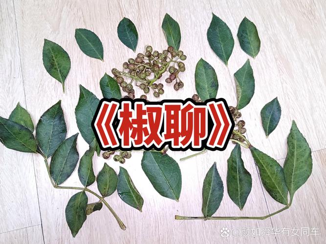 椒图是啥？看完这篇你就了解啦！