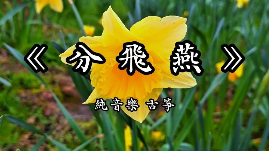 劳燕分飞中的劳是什么意思？这篇文章告诉你答案！