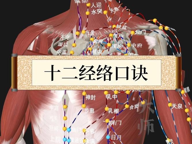 经脉模拟器下载安装教程，手把手教你轻松搞定！