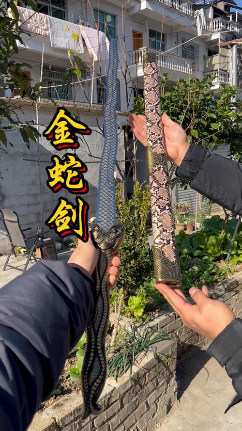 金蛇剑法厉害吗？招式解析与实战应用技巧！