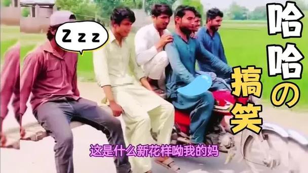 逗别看系列视频合集，承包你一整天的笑点！