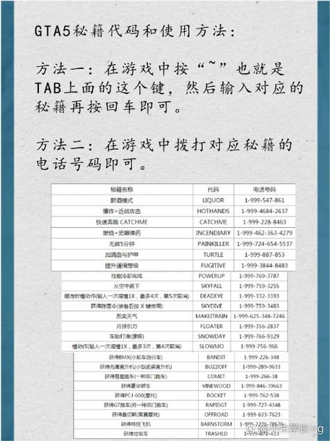 侠盗猎车秘籍大全，让你称霸游戏世界！