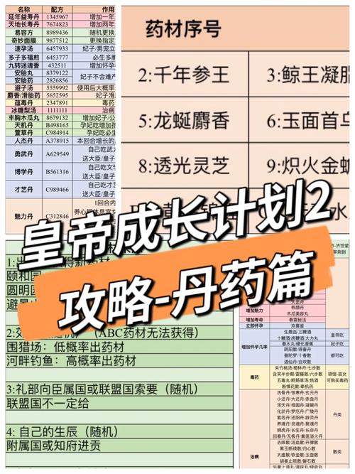 皇帝成长计划攻略大全：快速升级变强秘籍