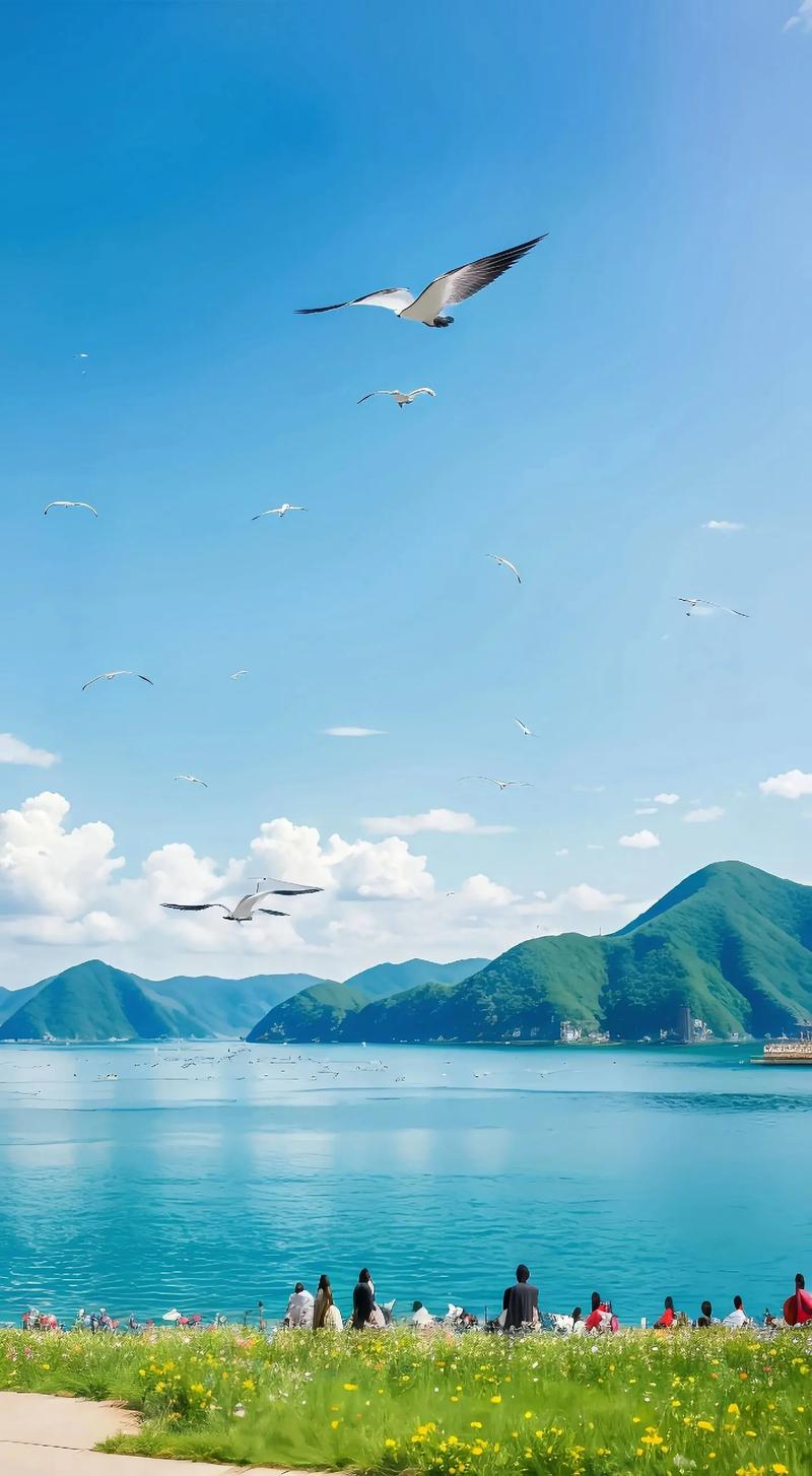 快速提升效率！海阔天空纹章使用技巧与攻略