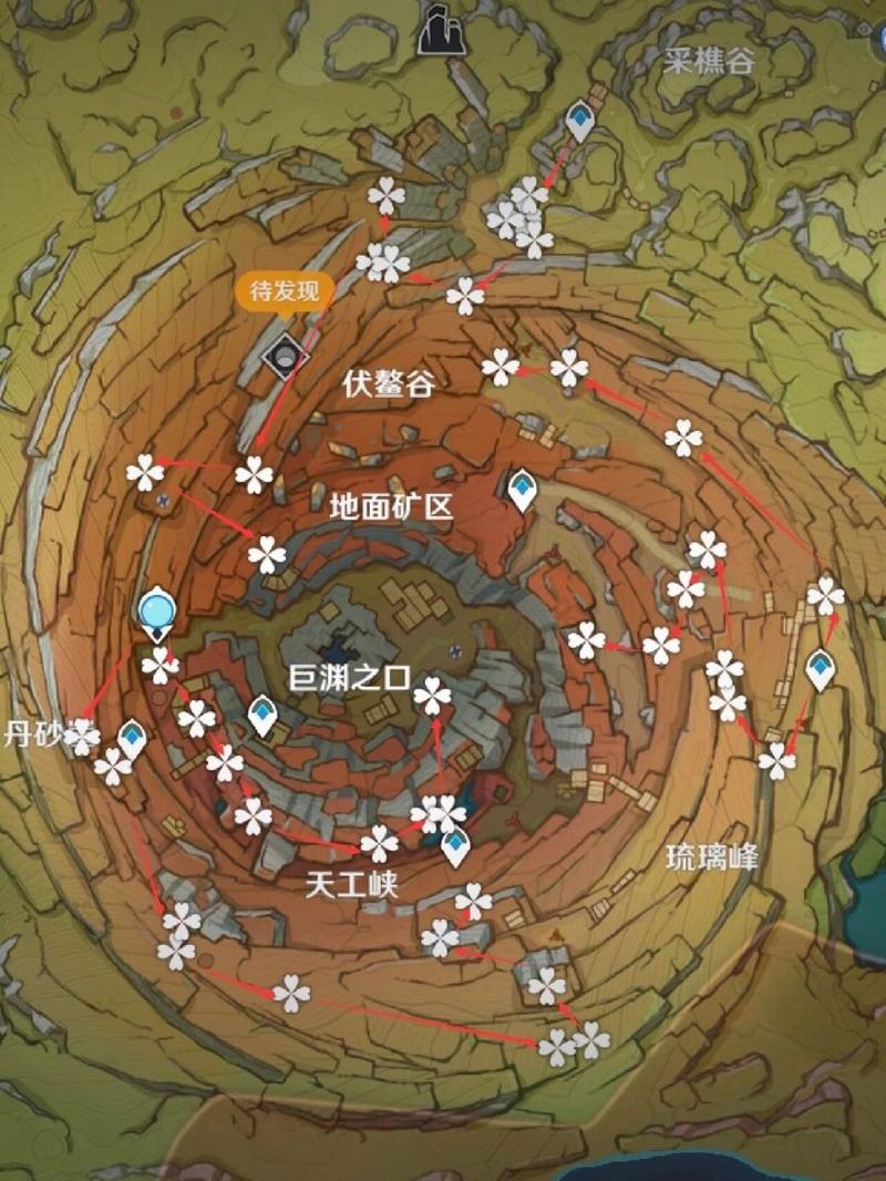 清心采集地点有哪些？详细图文攻略来了！