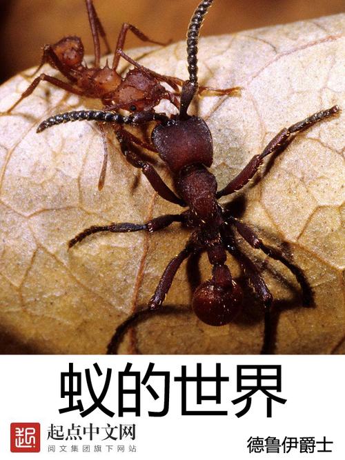 蚂蚁世界好玩吗？真实玩家体验分享给你参考！