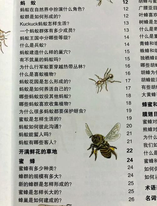 蚂蚁世界好玩吗？真实玩家体验分享给你参考！