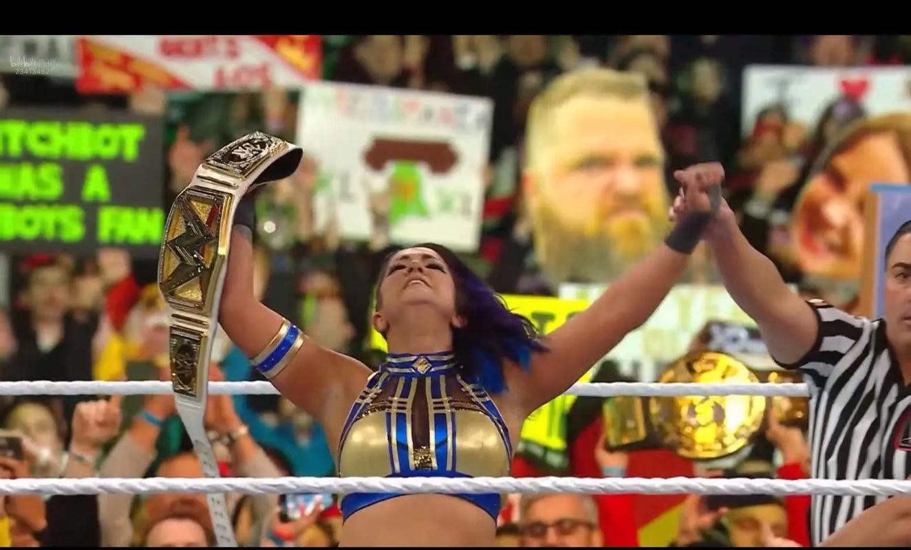 wwe2015经典回顾：当年最火爆的摔跤比赛集锦！