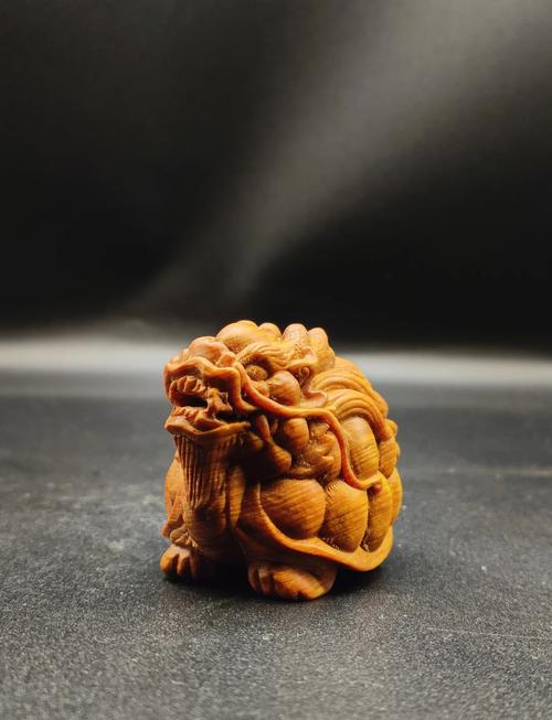 龙龟价格一般多少钱？不同品种龙龟价格揭秘！