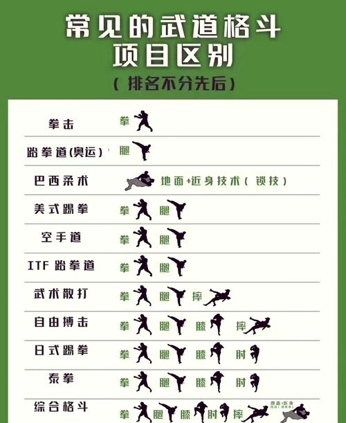 拳击游戏怎么选？新手入门必看攻略！