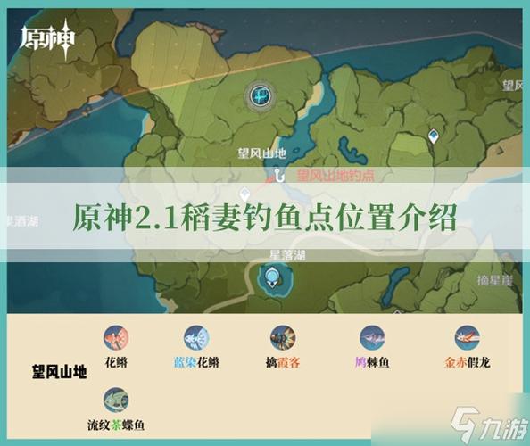 稻妻钓鱼点位置大全，新手钓鱼人必备实用指南！