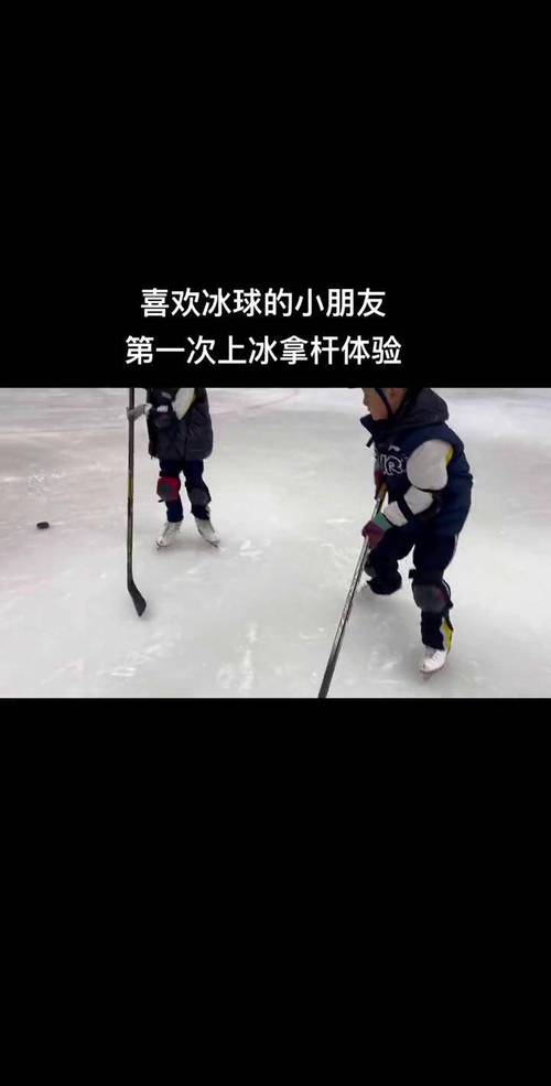 冰球游戏手机版推荐，随时随地畅玩冰上激情！