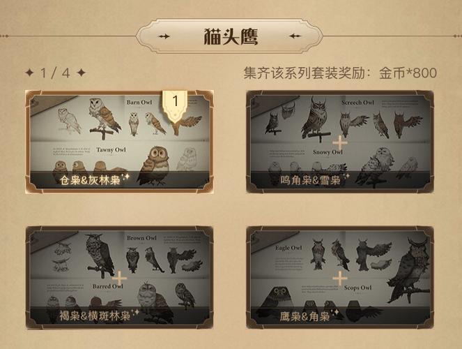 哈利波特设定集兑换码失效了怎么办？解决方法来了！