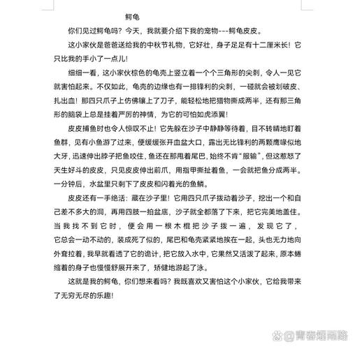 想了解始祖龟？这篇文章给你讲得明明白白！