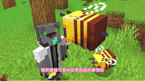 我的世界蜜蜂怎么养？手把手教你驯服蜜蜂获取蜂蜜！