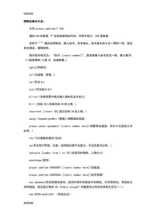 辐射4控制台代码大全看这里，新手也能轻松上手！