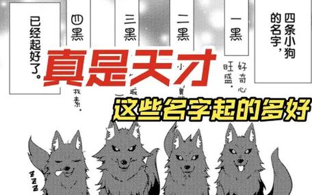 疾风轨迹：高清MV在线观看，感受极致视觉盛宴