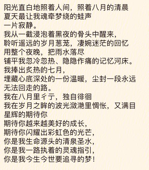 “我愿为你放下全部此生让我来渡”是什么歌？完整歌词及歌曲介绍