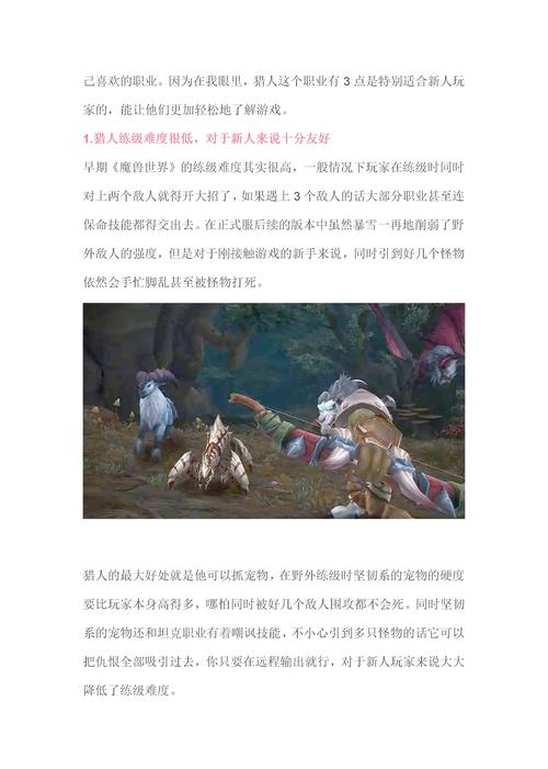猎人职业任务详解：快速升级技巧分享