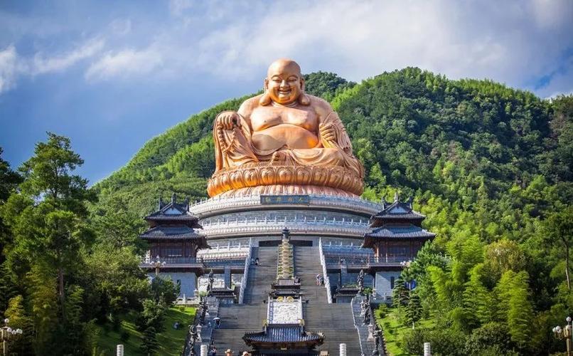 你爸今晚必在亭中种枇杷树暗藏玄机，揭开其背后故事