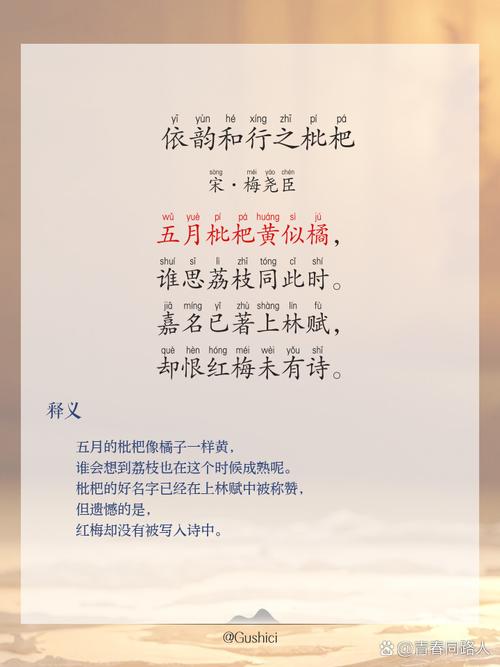 你爸今晚必在亭中种枇杷树暗藏玄机，揭开其背后故事