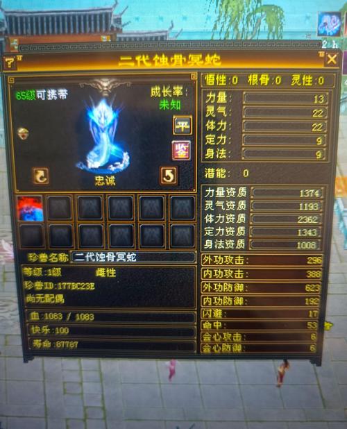 天龙八部怀旧服卡级指南：各等级服务器推荐及玩法