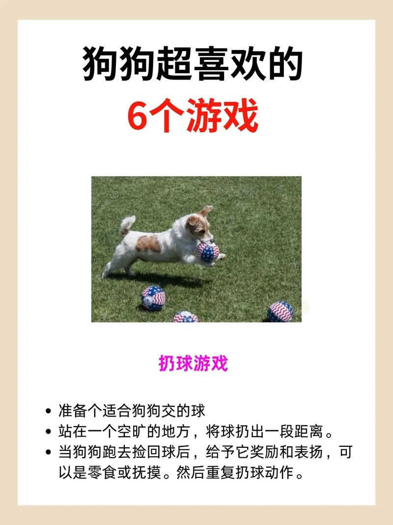 想找狗狗游戏？狗狗游戏搜索引擎，帮你快速找到！