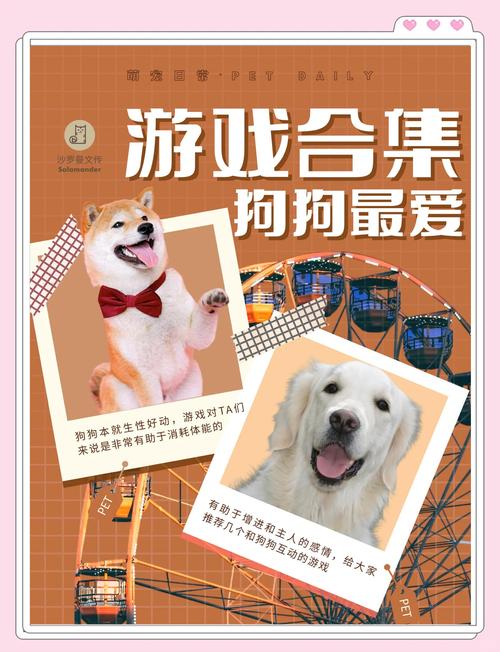 想找狗狗游戏？狗狗游戏搜索引擎，帮你快速找到！