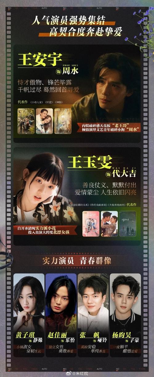 回顾经典！闪亮爱电视剧豆瓣评分及网友评价如何？